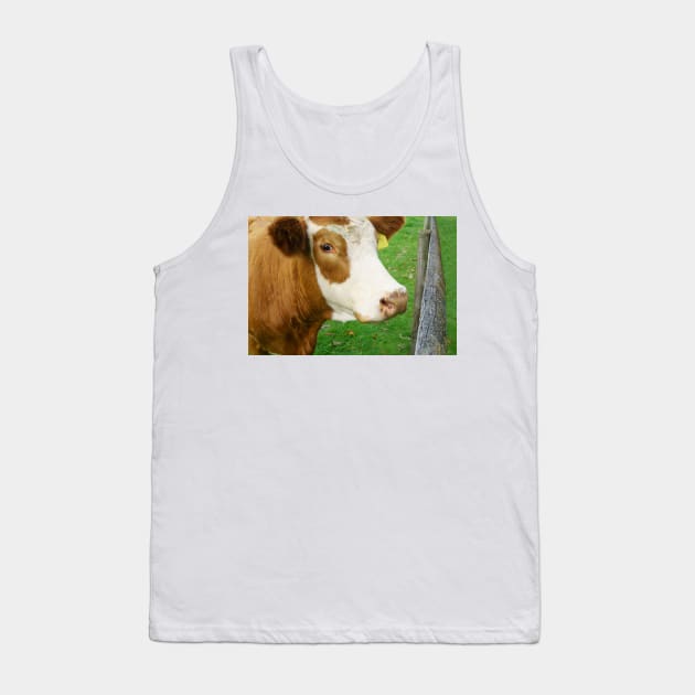 Hereford beef cattle Tank Top by brians101